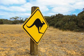 Känguru Straßenschild