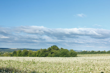 Fototapeta premium Landscape beatifull background.