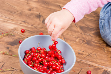 red currants on a wooden background