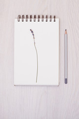 Lavender desk design with flowers on white background top view mock up. White paper postcard