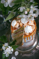 Caramel cake with poppy seeds and meringue on a dark background