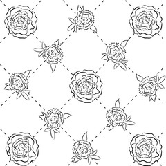 peony vector contour pattern