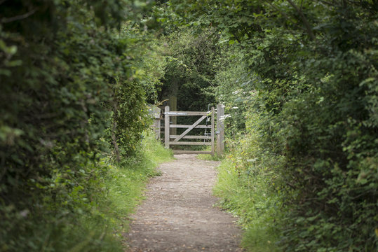 Shallow depth of field landscape image of tree covered path leading to distant gate