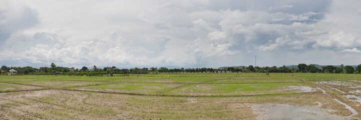 Obraz premium Panorama view of Field after harvest.