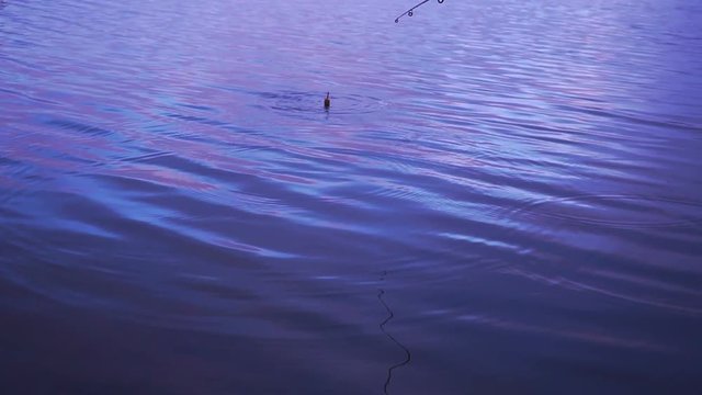 Fishing float in the lake