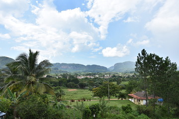 Fototapeta na wymiar Vallée Vinales Cuba