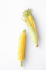 Organic farm food. Corn on cobs on white background top view