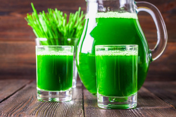 Wheatgrass shot. Juice from wheat grass. Trend of health