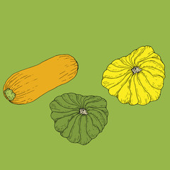 Set ripe juicy yellow zucchini and yellow and green patisson isolated on a green background