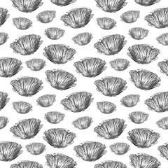Seamless pattern with poppy flower isolated on white background drawn by hand. Graphic drawing, pointillism technique. Botanical natural collection. Black and white floral illustration