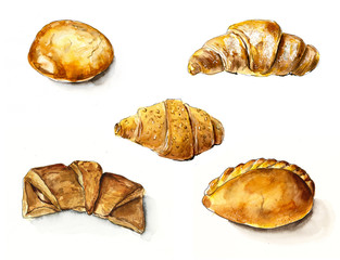 Pies. Watercolor hand drawn illustration