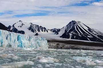 Zelfklevend Fotobehang Arctic landscape © Alexey Seafarer