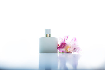 perfume with pink flowers over white