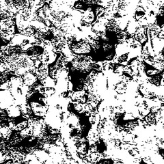 Fototapeta premium Abstract screen print texture. Black and white vector background