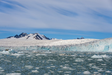 Arctic landscape