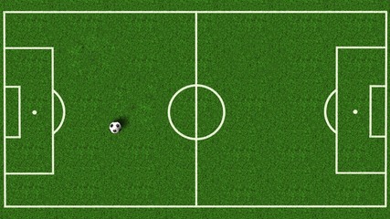 soccer field / football field top view with green natural grass - soccer background © Riko Best