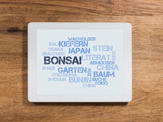 Obraz premium Bonsai
