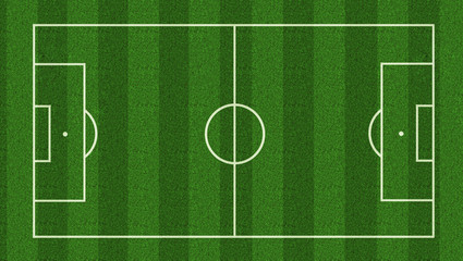 Football field / soccer field  on realistic green grass. top view. background 