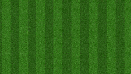 Green grass soccer field background - soccer background © Riko Best