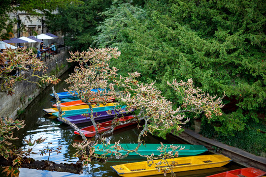Fototapeta Punts Oxford England