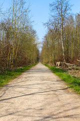 Wald Weg