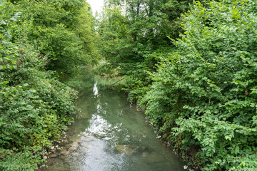 Fototapeta na wymiar small river running through forest