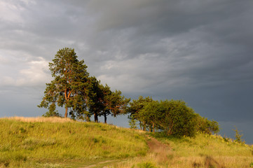 Obraz premium Rural landscape with river, field, trees after a thunderstorm. At sunset. Ukraine