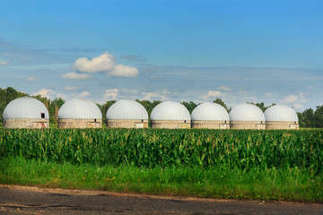 Agricultural Silos - Building Exterior, Storage and drying of grains, wheat, corn against the blue sky with rice fields.