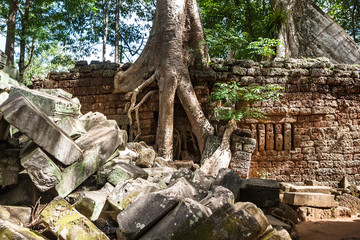 Fototapeta premium Ta Phrom bei Angkor Wat, Kambodscha