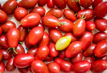 Grape Tomatoescherry tomatoes, grape tomatoes, green, produce, red, still life, tomatoes, wallpaper