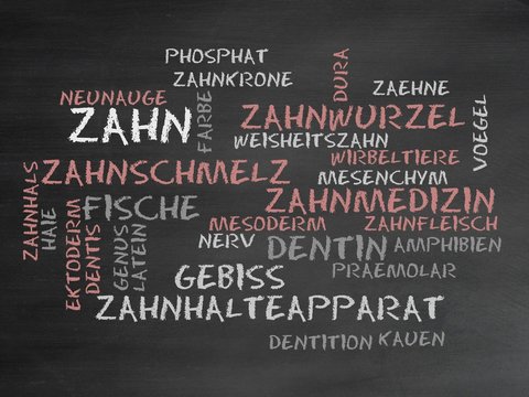 Zahn