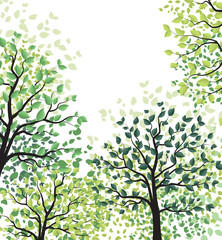 Green trees with leaves
