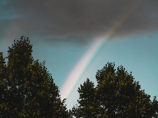 Rainbow partly viewed above crowns of trees on dull rainy summer day with dark storm-cloud in the sky