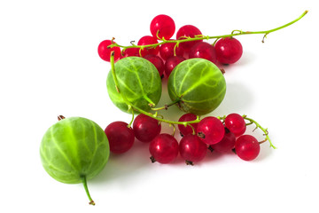 Rote Johannisbeeren mit grünen Stachelbeeren über weißem Hintergrund