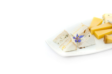 Cheese plate with different kinds of cheese with flowers.