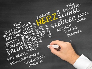 Herz