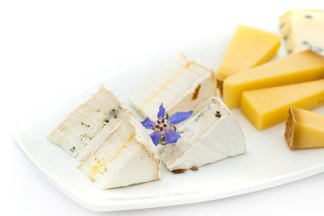 Cheese plate with different kinds of cheese with flowers.