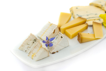 Cheese plate with different kinds of cheese with flowers.