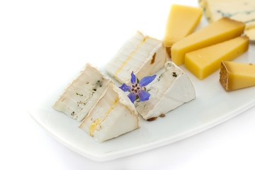 Cheese plate with different kinds of cheese with flowers.