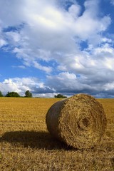 Strohballen in der Sonne auf einem abgeernteten Getreidefeld