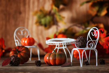 fresh pumpkin in interior wooden room on chair
