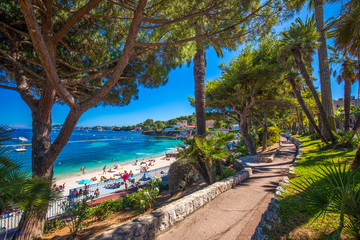 Beach promenade in the Beaulieu-sur-mer village with palm trees, pine trees and azure clear water