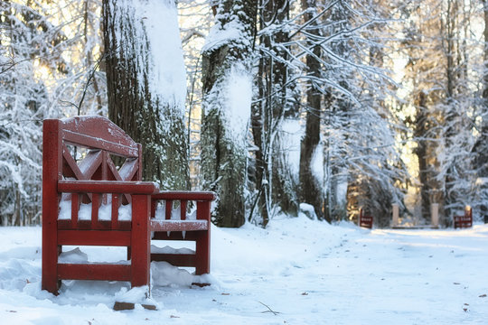 Wood Bench In Winter