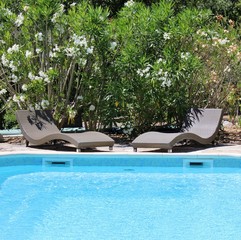 Beautiful provence garden with swimmingpool and loungers