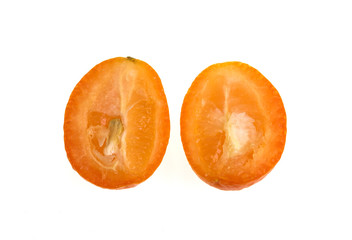 Sweet Nagami Cumquat