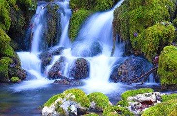 Mountain stream