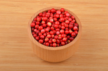 Lingonberry (Vaccinium vitis-idaea)