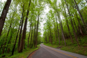 country road