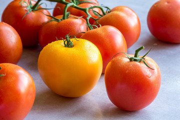 One yellow and red tomatoes on a table with water drops  nadnavierkhuprievyshiesvyshievvierkhuvyshievyshieupomianutyiвверхувышевышеупомянутыйнаверхунадпревышесверхусвышеfonfonefonovyi riezhimkontiekst