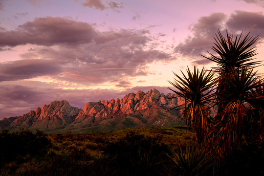 Organ Mountains Sunset